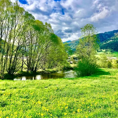 Baier Daire Sankt Michael im Lungau